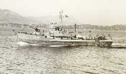 fpD338.jpg